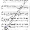 PP358845 - Grollemund Y - Dans la rue - soprano flûte clavecin gambe -clavecin1